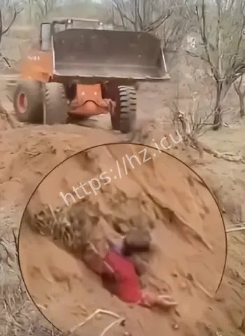 村支书活埋村民